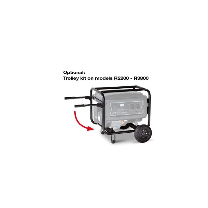 RATO R3800 essence générateur 301 cc puissance maximale 3,8 kW | Newgardenmac.com