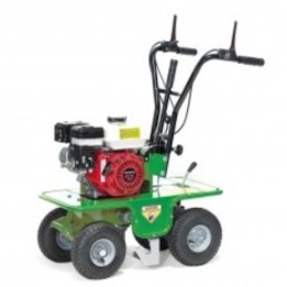 Levazolle professionale ACTIVE AC 300 motore HONDA larghezza lavoro 30 cm | Newgardenmac.com