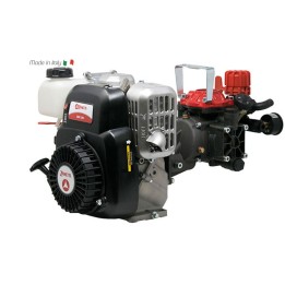 Benzin-Sprühmotorpumpe ZANETTI ZEN25i mit ANNOVI REVERBERI AR252 Pumpe | Newgardenmac.com