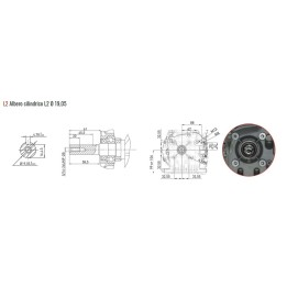 ZANETTI ZEN150L2 gasoline motor-driven rotary tiller motor-pump motor ZANETTI ZEN150L2 shaft d. 19.05 | Newgardenmac.com