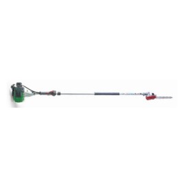 Potatore allungabile ACTIVE MTP ST25R 25.4 cc lunghezza barra 25 cm | Newgardenmac.com