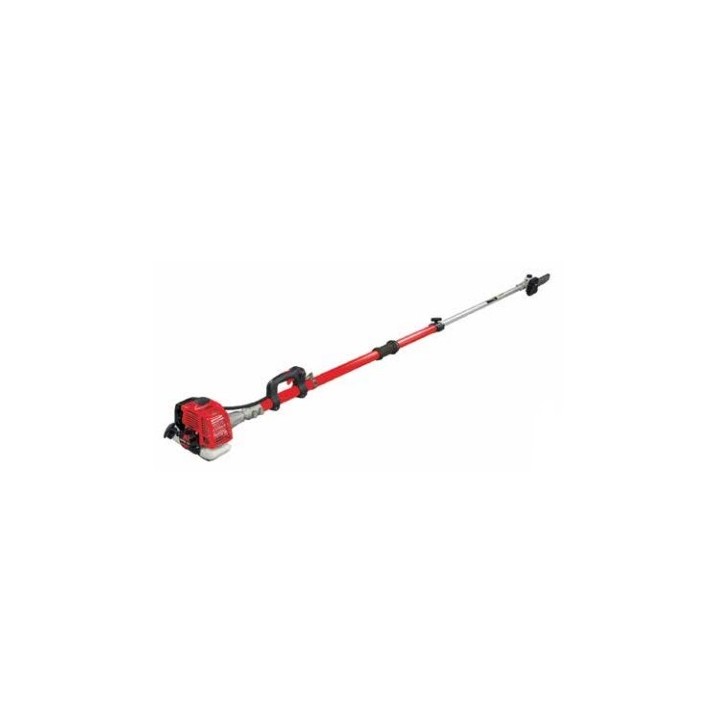 Teleskop-Baumschere GZJ 260AE BLUE BIRD 2-Takt-Motor 25,4 ccm | Newgardenmac.com
