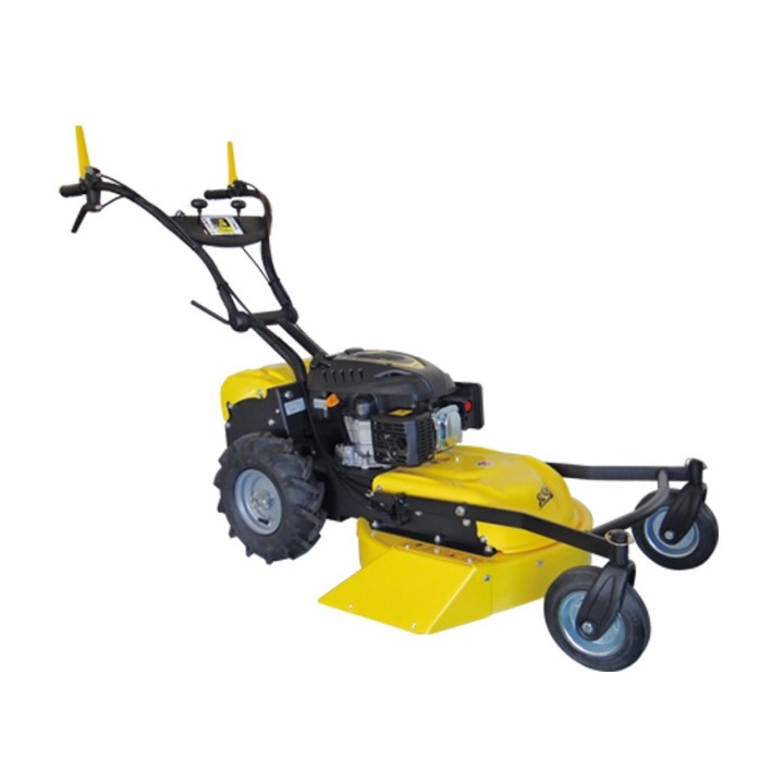 Falciatutto RL210 RL 53 cm SERIE ROQUES ET LECOEUR con motore RV 225 OHV 223 cc | Newgardenmac.com