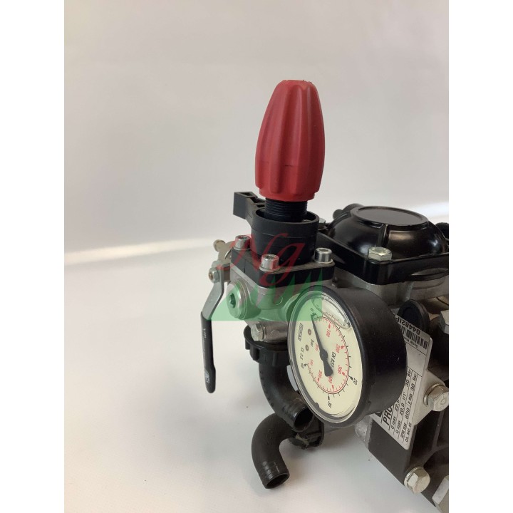 Motopompa PRO 25/30 IMOVILLI motore RATO R80-V 21 l/1' - 30 bar - 800 RPM | Newgardenmac.com