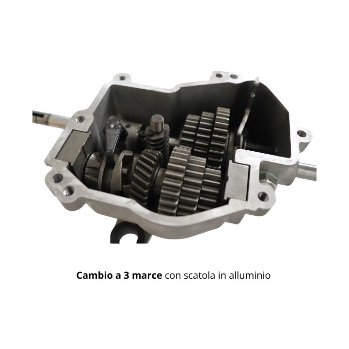 ACTIVE 6000BBC Rasenmäher mit Honda GXV160 Motor Schnittbreite 53cm Korb 65L | Newgardenmac.com