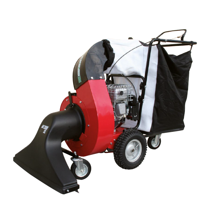 AF 200 SL Benassi 4-Takt-Blattsauger Briggs&Stratton XR-SERIE 6,5 kW 4,2 - 208 cm³ 8801702 | Newgardenmac.com