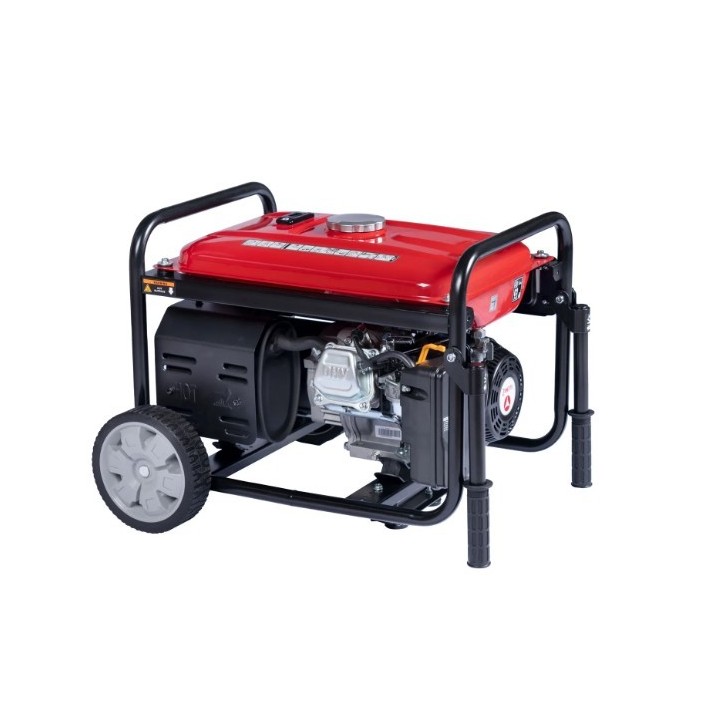 Générateur essence ZANETTI ZBG3300C 224cc puissance max 3,3kW tension 230V | Newgardenmac.com