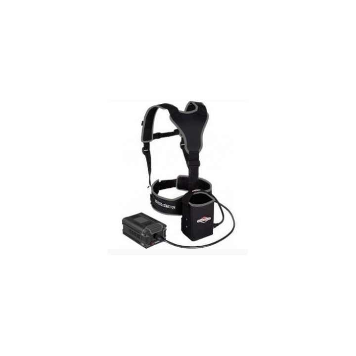 Kit sac à dos de batterie ORIGINAL BRIGGS&STRATTON | Newgardenmac.com