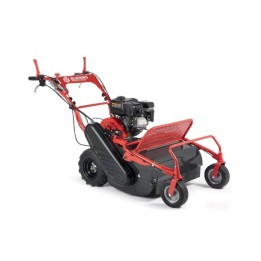 Desbrozadora de mayales BLUEBIRD FM600 de 252 cc, ancho de corte de 60 cm, potencia de 3600 rpm | Newgardenmac.com