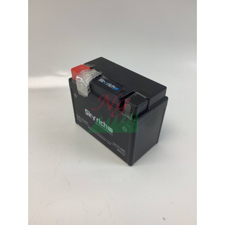 12V-Lithium-Batterie-Generator Modelle PGE48iS ORIGINAL OLEOMAC L66152716 | Newgardenmac.com