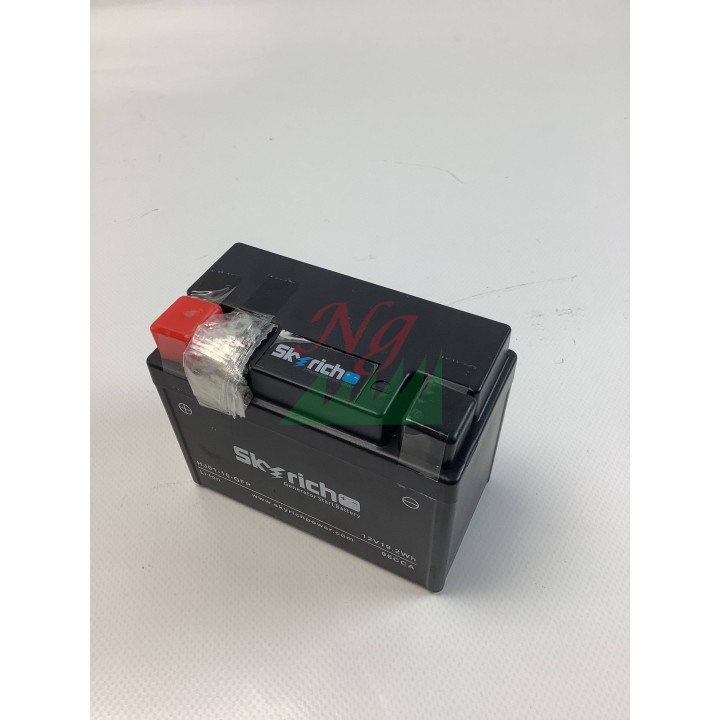 Batteria al litio 12V generatore modelli PGE48iS ORIGINALE OLEOMAC L66152716 | Newgardenmac.com
