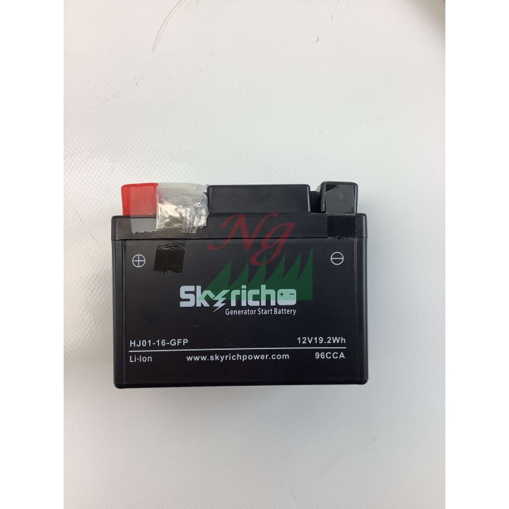 Générateur de batterie au lithium 12V modèles PGE48iS ORIGINAL OLEOMAC L66152716 | Newgardenmac.com
