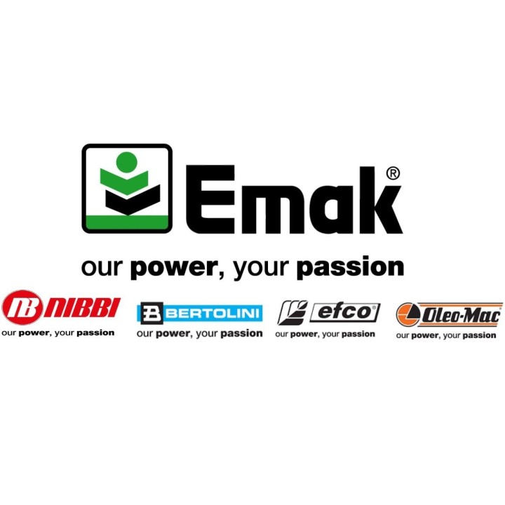 12V-Lithium-Batterie-Generator Modelle PGE48iS ORIGINAL OLEOMAC L66152716 | Newgardenmac.com