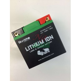 Batteria al litio SKYRICH trattorino tagliaerba capacita' 32Ah tensione 12V | Newgardenmac.com