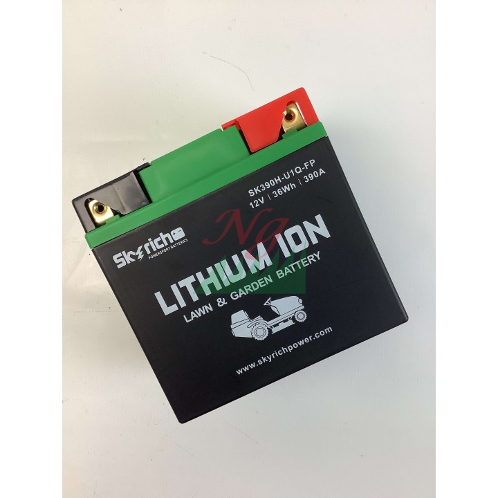 SKYRICH lawn tractor lithium battery capacity 32Ah voltage 12V | Newgardenmac.com