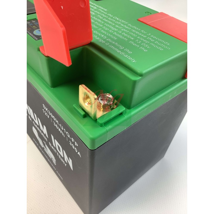 Batteria al litio SKYRICH trattorino tagliaerba capacita' 32Ah tensione 12V | Newgardenmac.com