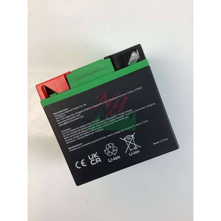 SKYRICH Rasentraktor Lithium-Batterie Kapazität 32Ah Spannung 12V | Newgardenmac.com