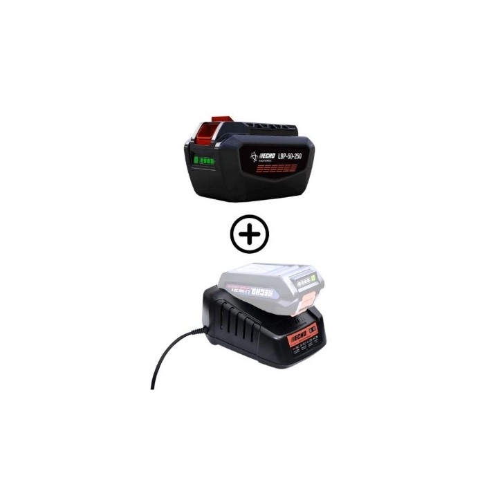 Set bestehend aus 1 Akku LBP56V250 252Wh 5Ah + Schnellladegerät DBC-560 56V ECHO | Newgardenmac.com