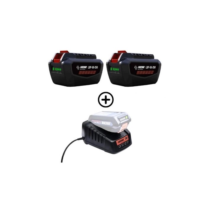 Set bestehend aus 2 LBP56V250 226Wh 5Ah Akkus + 1 DBC-560 56V ECHO Schnellladegerät | Newgardenmac.com