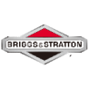 Briggs & Stratton - Vendita prodotti, macchine da giardino e ricambi online | newgardenmac.com